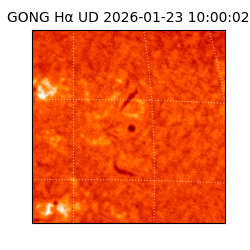 gong - 2026-01-23T10:00:02