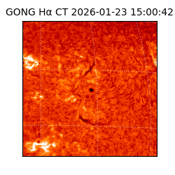 gong - 2026-01-23T15:00:42