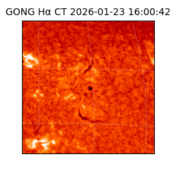 gong - 2026-01-23T16:00:42