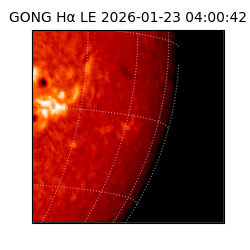 gong - 2026-01-23T04:00:42