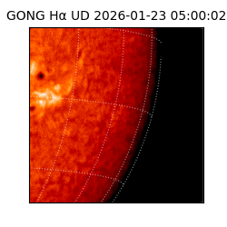 gong - 2026-01-23T05:00:02