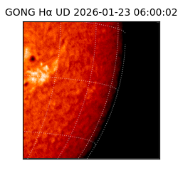 gong - 2026-01-23T06:00:02