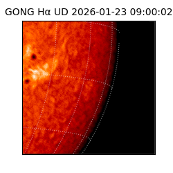 gong - 2026-01-23T09:00:02