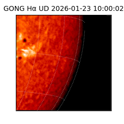 gong - 2026-01-23T10:00:02