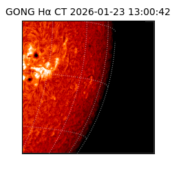 gong - 2026-01-23T13:00:42