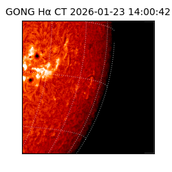 gong - 2026-01-23T14:00:42