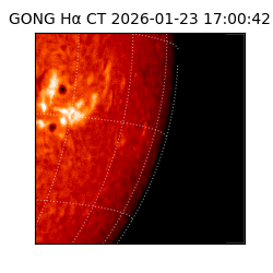 gong - 2026-01-23T17:00:42