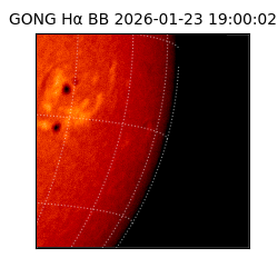 gong - 2026-01-23T19:00:02