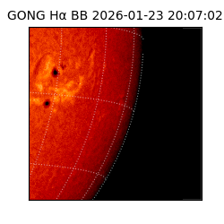 gong - 2026-01-23T20:07:02