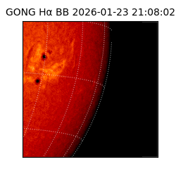gong - 2026-01-23T21:08:02