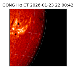 gong - 2026-01-23T22:00:42
