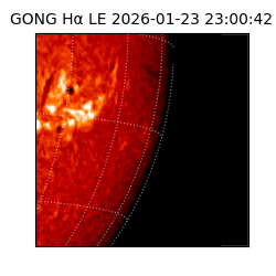gong - 2026-01-23T23:00:42