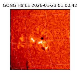 gong - 2026-01-23T01:00:42
