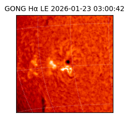 gong - 2026-01-23T03:00:42