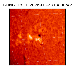 gong - 2026-01-23T04:00:42