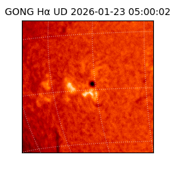 gong - 2026-01-23T05:00:02