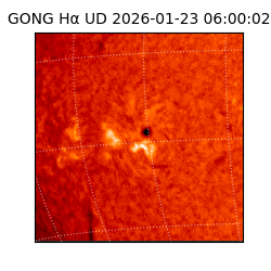 gong - 2026-01-23T06:00:02