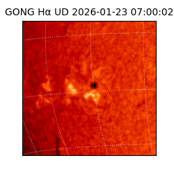 gong - 2026-01-23T07:00:02