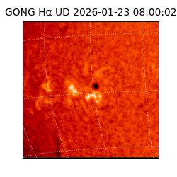 gong - 2026-01-23T08:00:02