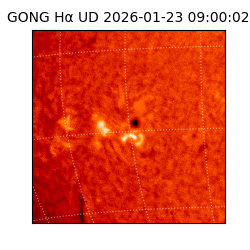 gong - 2026-01-23T09:00:02
