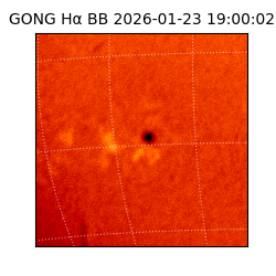 gong - 2026-01-23T19:00:02