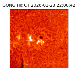 gong - 2026-01-23T22:00:42