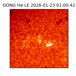 gong - 2026-01-23T01:00:42
