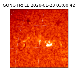gong - 2026-01-23T03:00:42