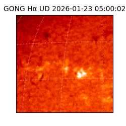 gong - 2026-01-23T05:00:02
