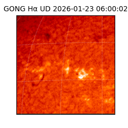 gong - 2026-01-23T06:00:02