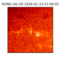 gong - 2026-01-23T07:00:02