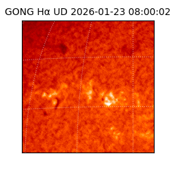 gong - 2026-01-23T08:00:02