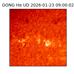 gong - 2026-01-23T09:00:02