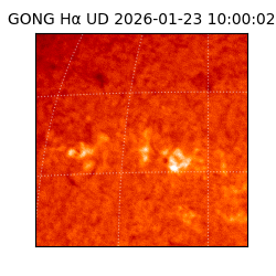 gong - 2026-01-23T10:00:02