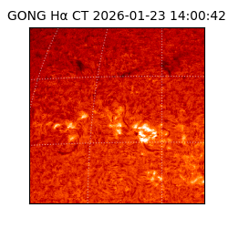 gong - 2026-01-23T14:00:42
