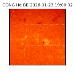 gong - 2026-01-23T19:00:02