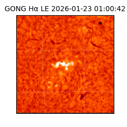 gong - 2026-01-23T01:00:42