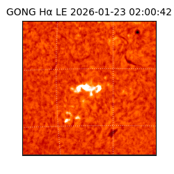 gong - 2026-01-23T02:00:42