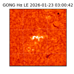 gong - 2026-01-23T03:00:42