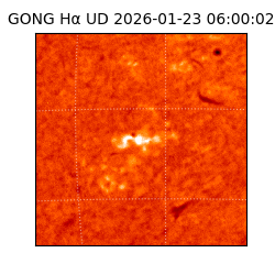 gong - 2026-01-23T06:00:02