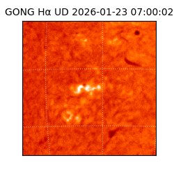 gong - 2026-01-23T07:00:02