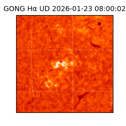 gong - 2026-01-23T08:00:02