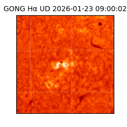 gong - 2026-01-23T09:00:02