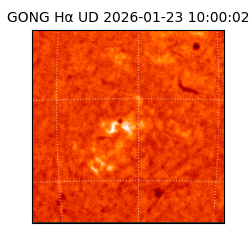 gong - 2026-01-23T10:00:02