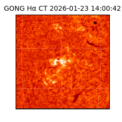 gong - 2026-01-23T14:00:42