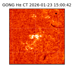 gong - 2026-01-23T15:00:42