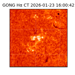 gong - 2026-01-23T16:00:42