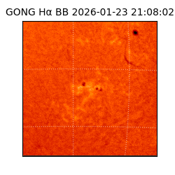 gong - 2026-01-23T21:08:02