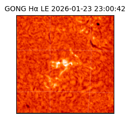 gong - 2026-01-23T23:00:42