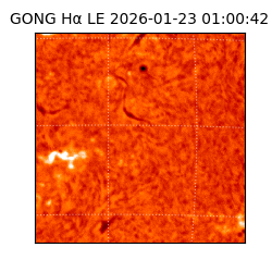 gong - 2026-01-23T01:00:42